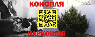 трава Славянск-на-Кубани