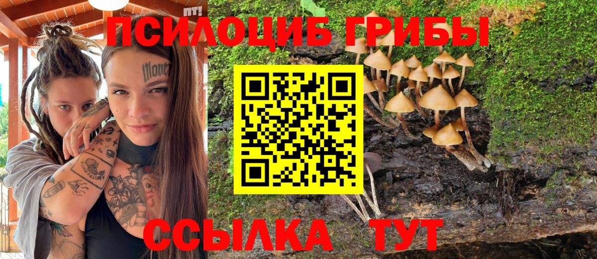 Псилоцибиновые грибы GOLDEN TEACHER Отрадное